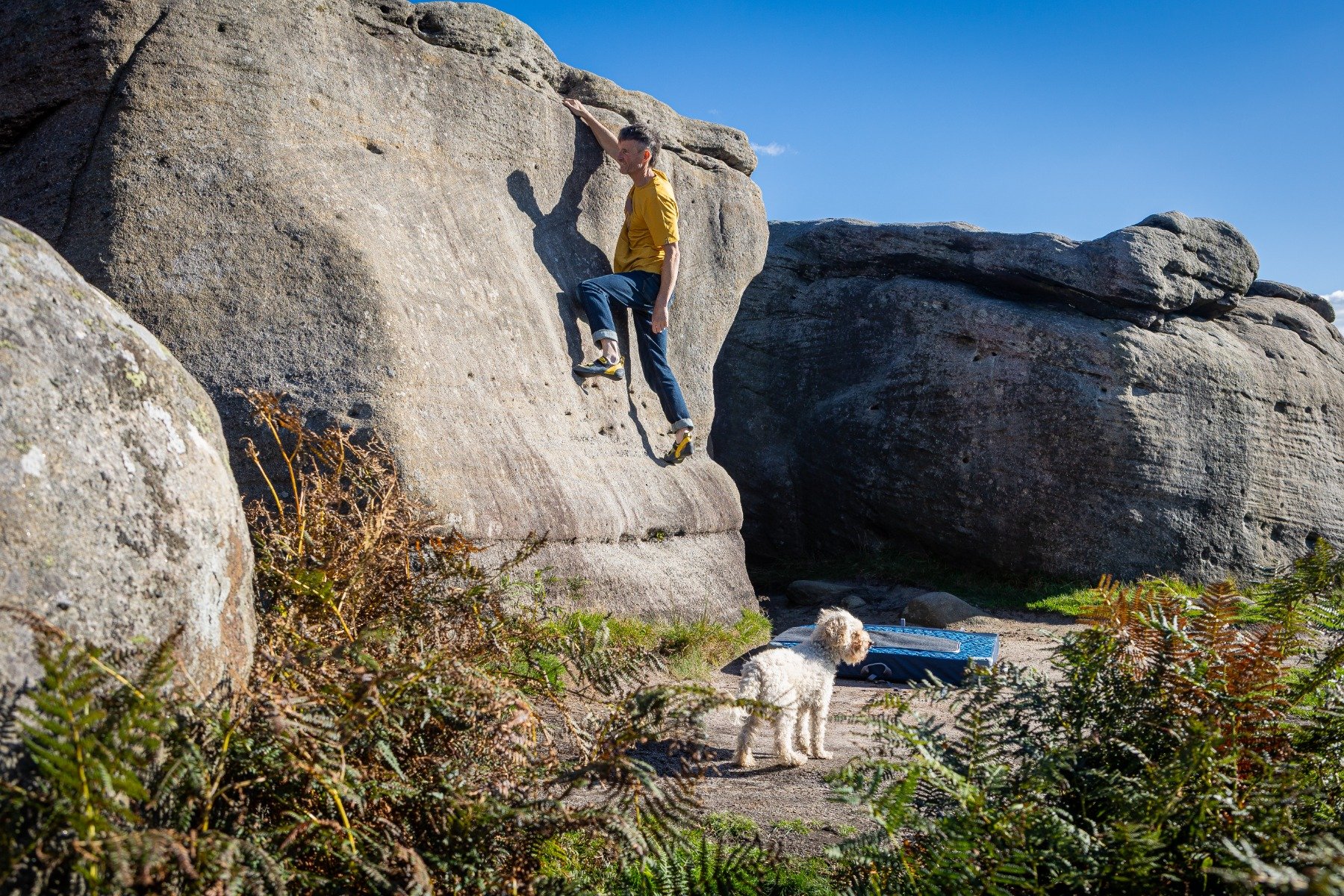 Video block second image