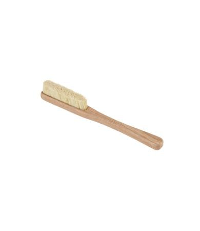 Voyager Brush From Moon