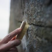 Voyager Brush