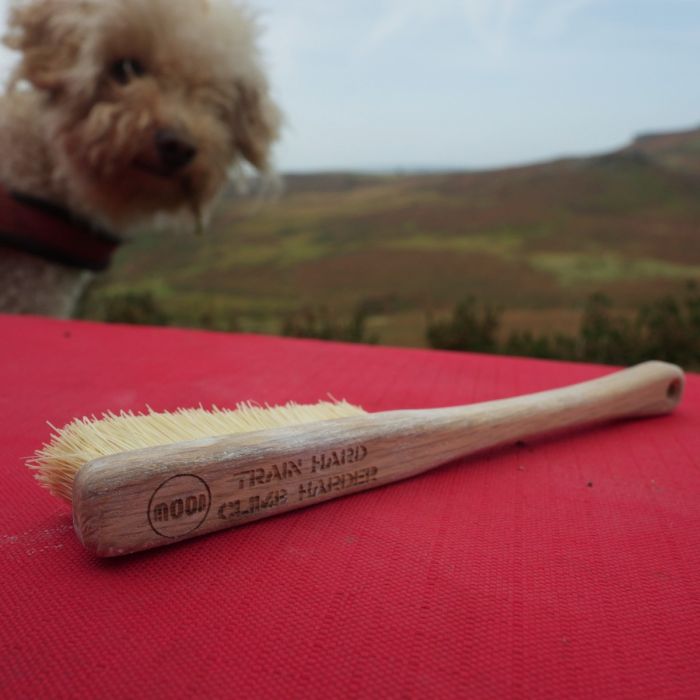 Voyager Brush