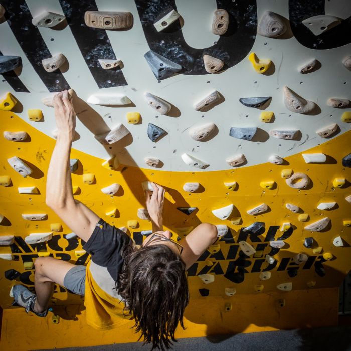 Single School Hold Set B