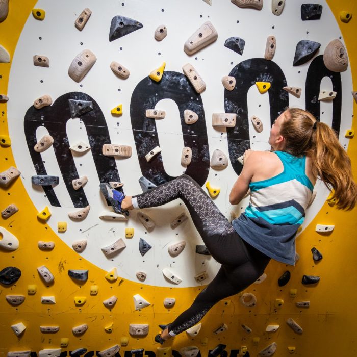 Single School Hold Set B