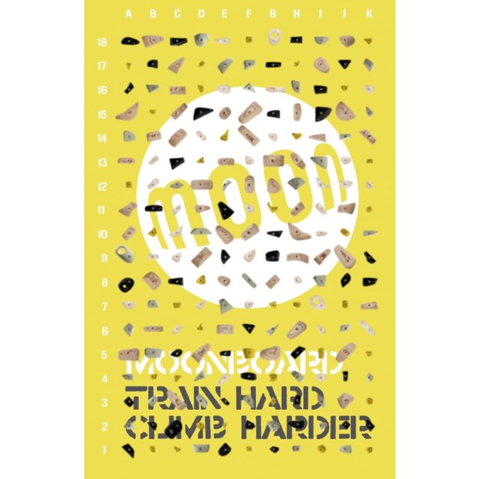 MoonBoard 2019 Setup Hold Bundle